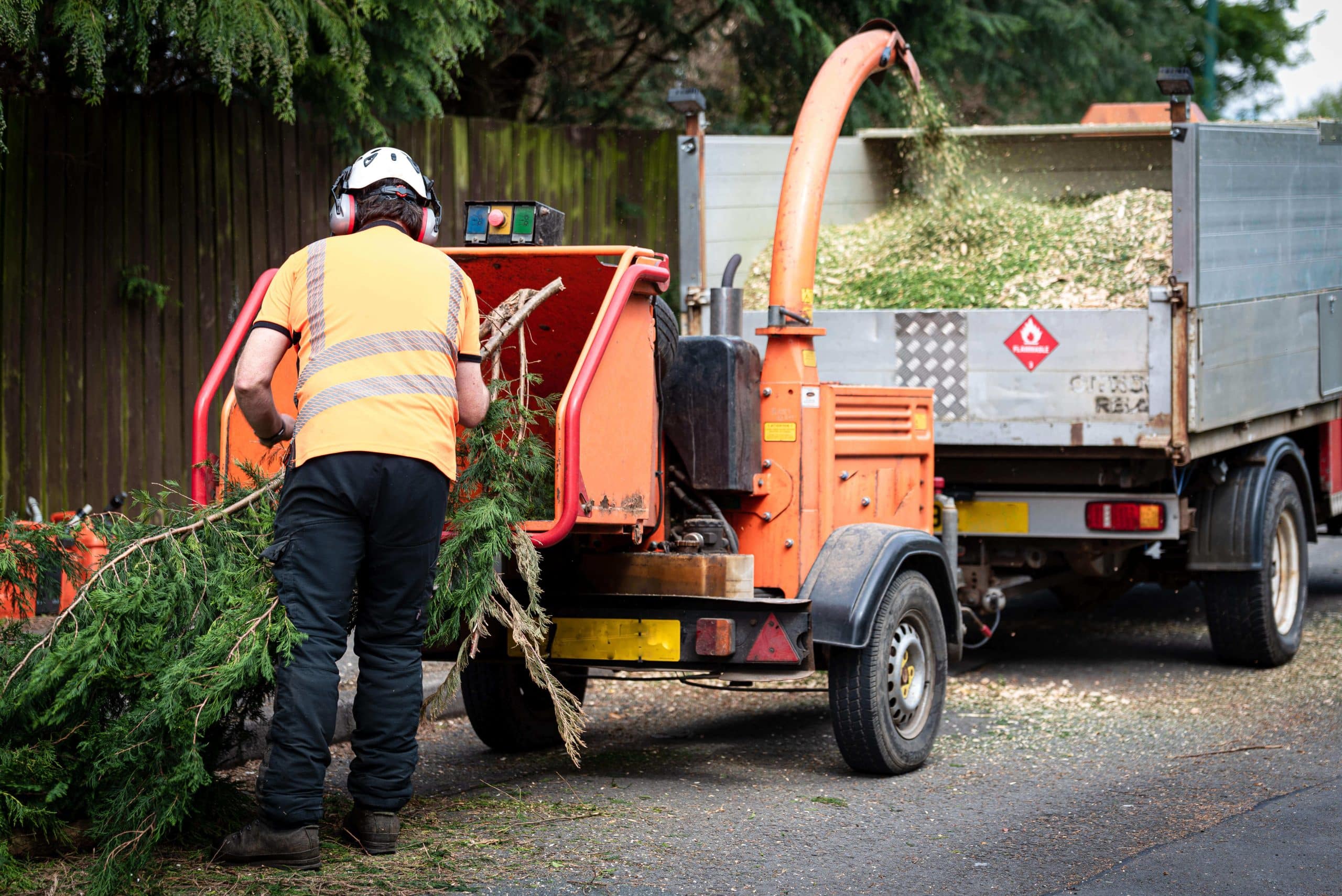 Tree Stump Grinding/Removal Belvedere DA17